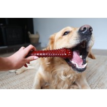 Bone Nylabone Brown Bacon XL