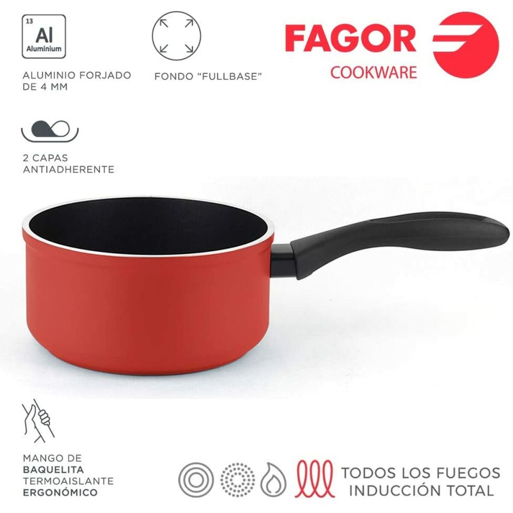 Kasserolle Fagor Geschmiedetes Aluminium Grau Ø 16 cm