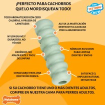 Beißring für Hunde Nylabone SENSORY TACTILE STICK grün Kakaobutter Bacon S