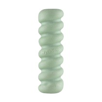 Beißring für Hunde Nylabone SENSORY TACTILE STICK grün Kakaobutter Bacon S