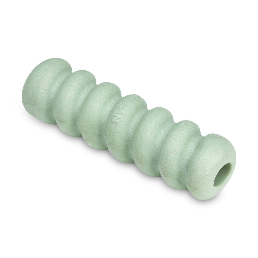 Beißring für Hunde Nylabone SENSORY TACTILE STICK grün Kakaobutter Bacon S