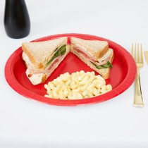Plate set Algon Red 20 cm 10 Pieces (24 Units)