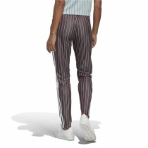 Long Sports Trousers Adidas Brown Lady