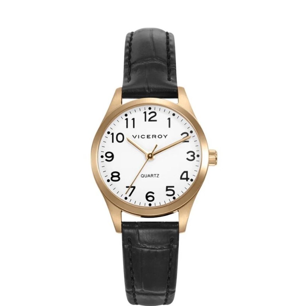 Men's Watch Viceroy 42222-94 (Ø 44 mm)