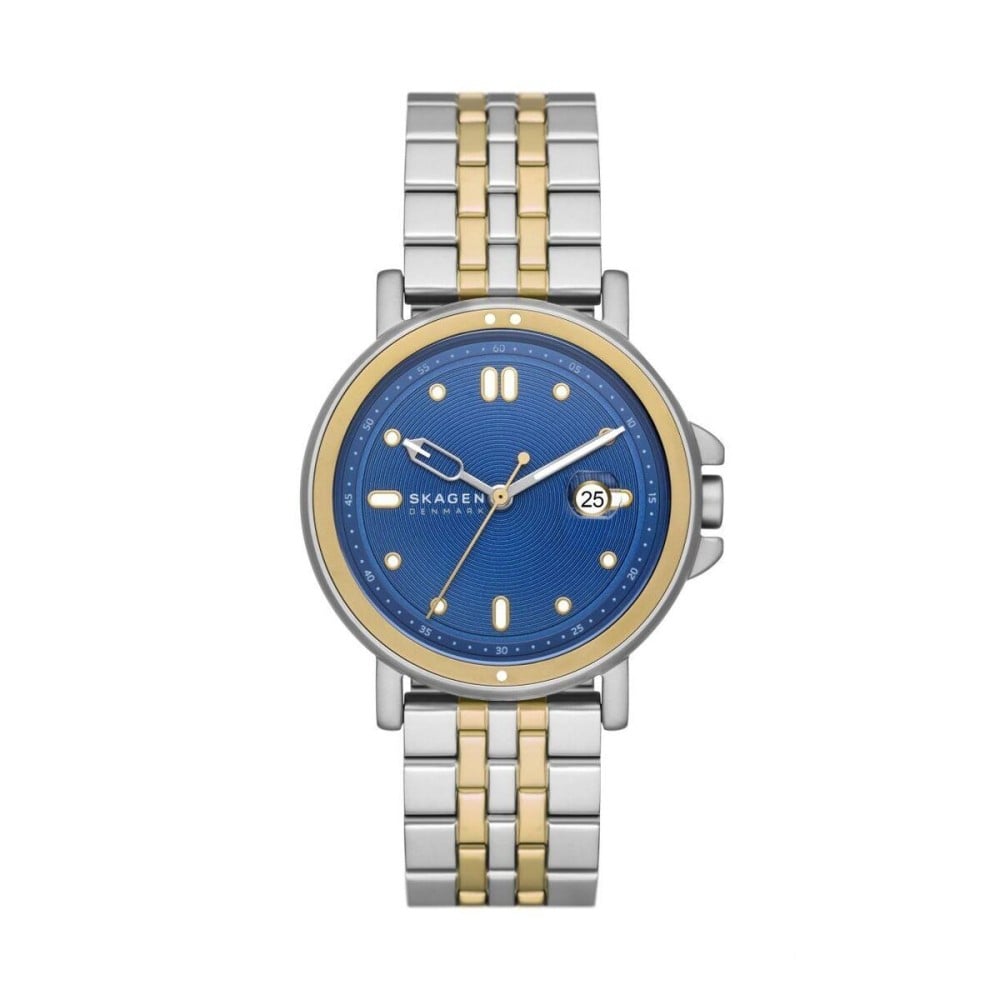 Herrenuhr Skagen SKW6921 Silberfarben (Ø 40 mm)