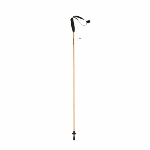 Bâton Trekking Ferrino  Eiger 115 cm Orange