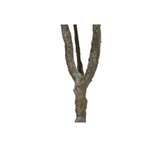 Baum Home ESPRIT Polyäthylen 80 x 80 x 150 cm