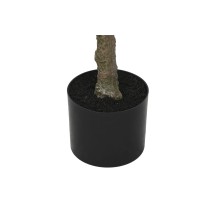 Arbre Home ESPRIT Polyéthylène 80 x 80 x 150 cm