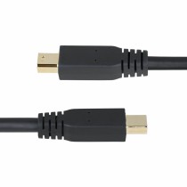 VGA Kabel Startech DP14MDPMM10F Schwarz 3 m