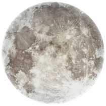 False ceiling Activejet AJE-MOON 24W 24 W 1920 lm (4000 K)