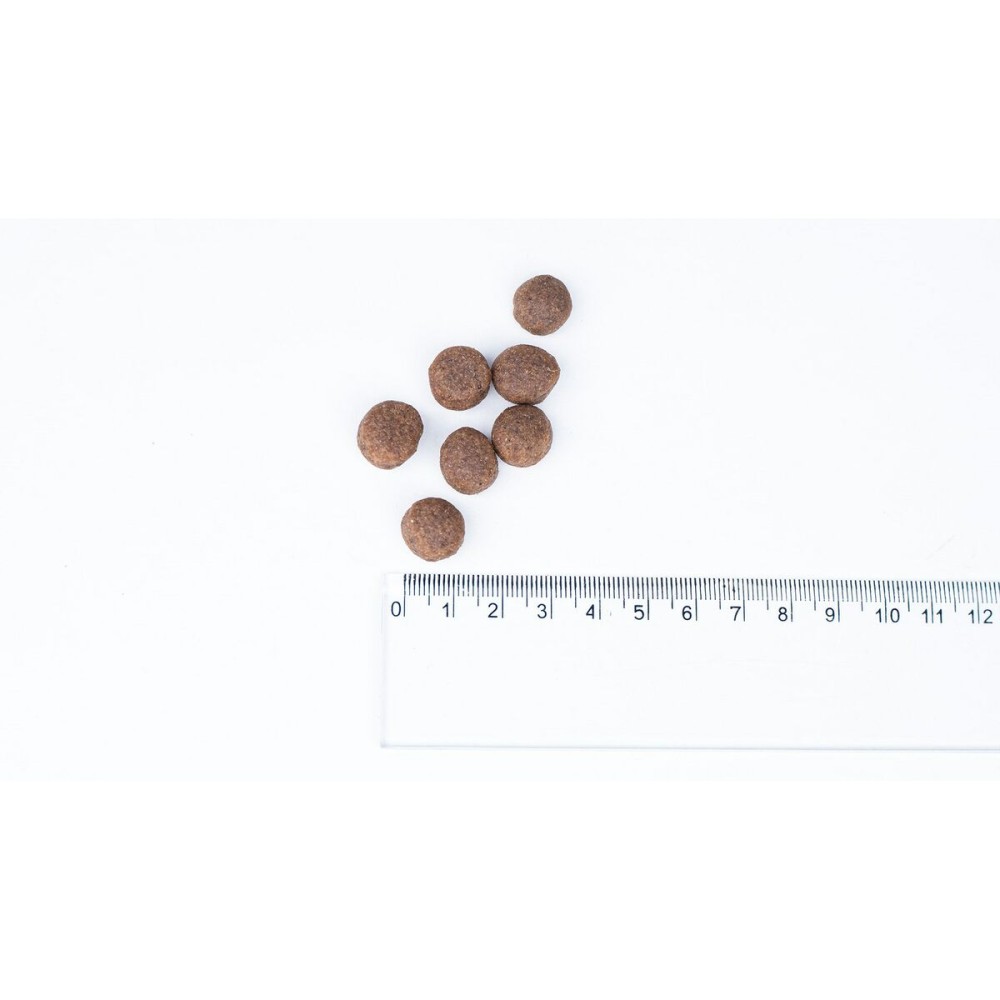 Futter Bult Truthahn 3 Kg