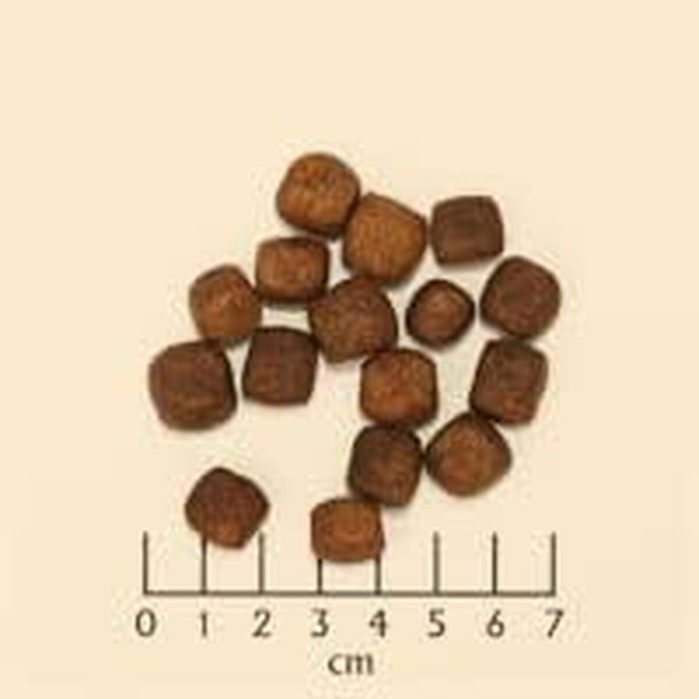 Nourriture Wolfsblut Adulte Poisson Patate douce 12,5 Kg