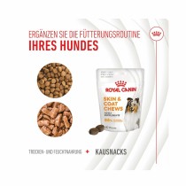 Hundesnack Royal Canin 240 g