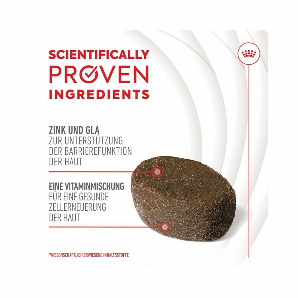 Snack pour chiens Royal Canin 240 g