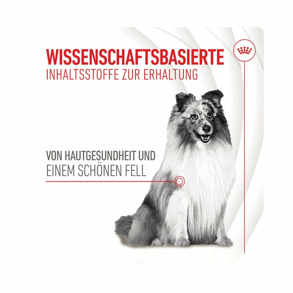 Hundesnack Royal Canin 240 g