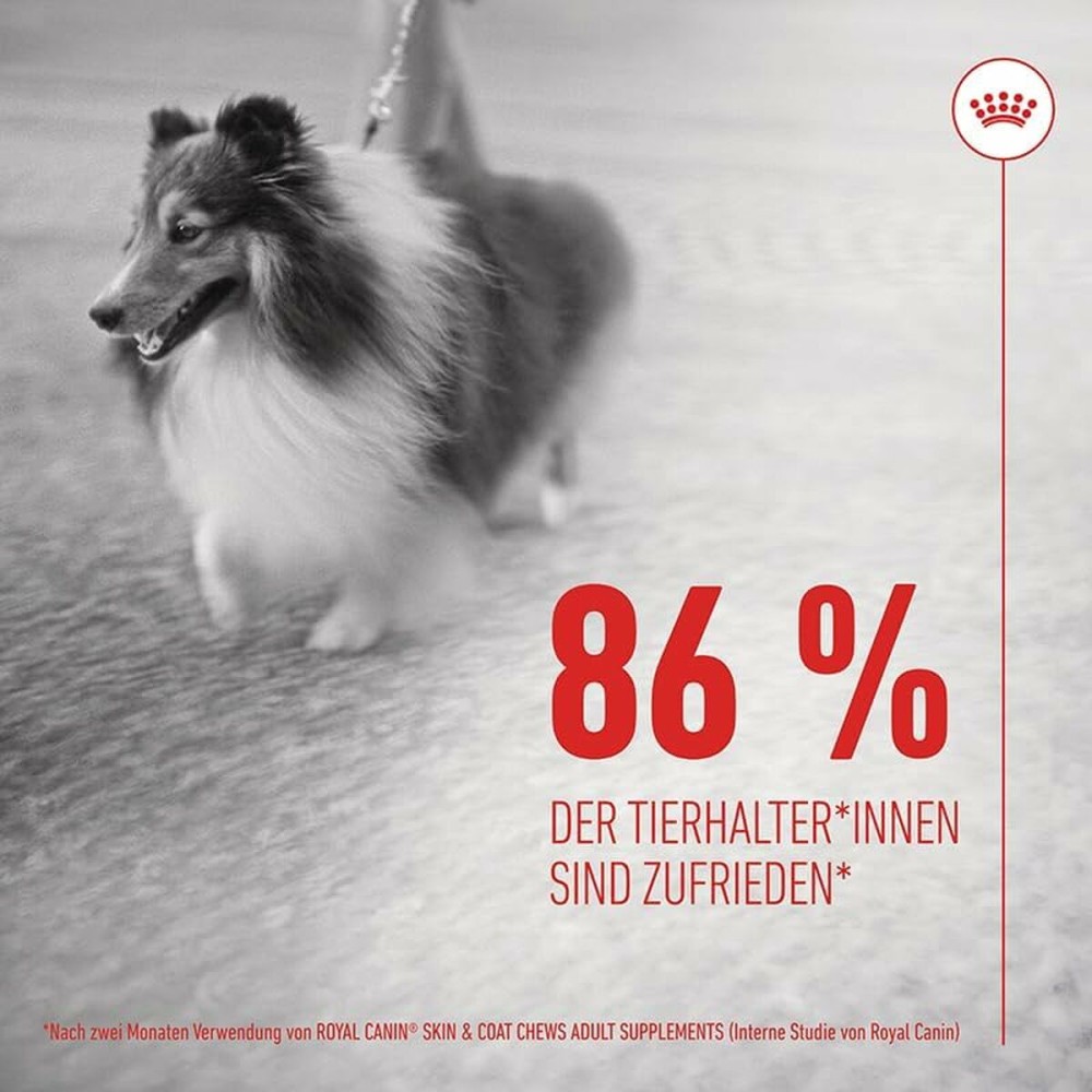 Snack pour chiens Royal Canin 240 g