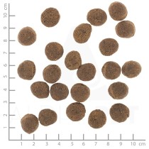 Nourriture Wolfsblut Adulte Canard Patate douce 12 kg