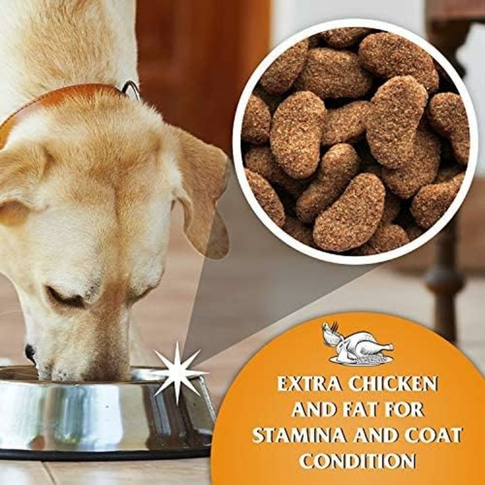 Nourriture Dr.John Poulet 15 g 15 kg