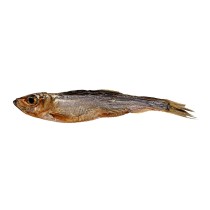Dog Snack Petitto Fish 500 g