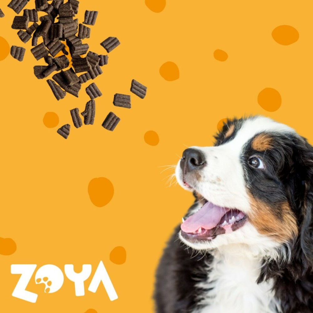 Fodder Zoya Lamb 3 Kg