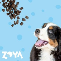 Fodder Zoya Duck 1 kg