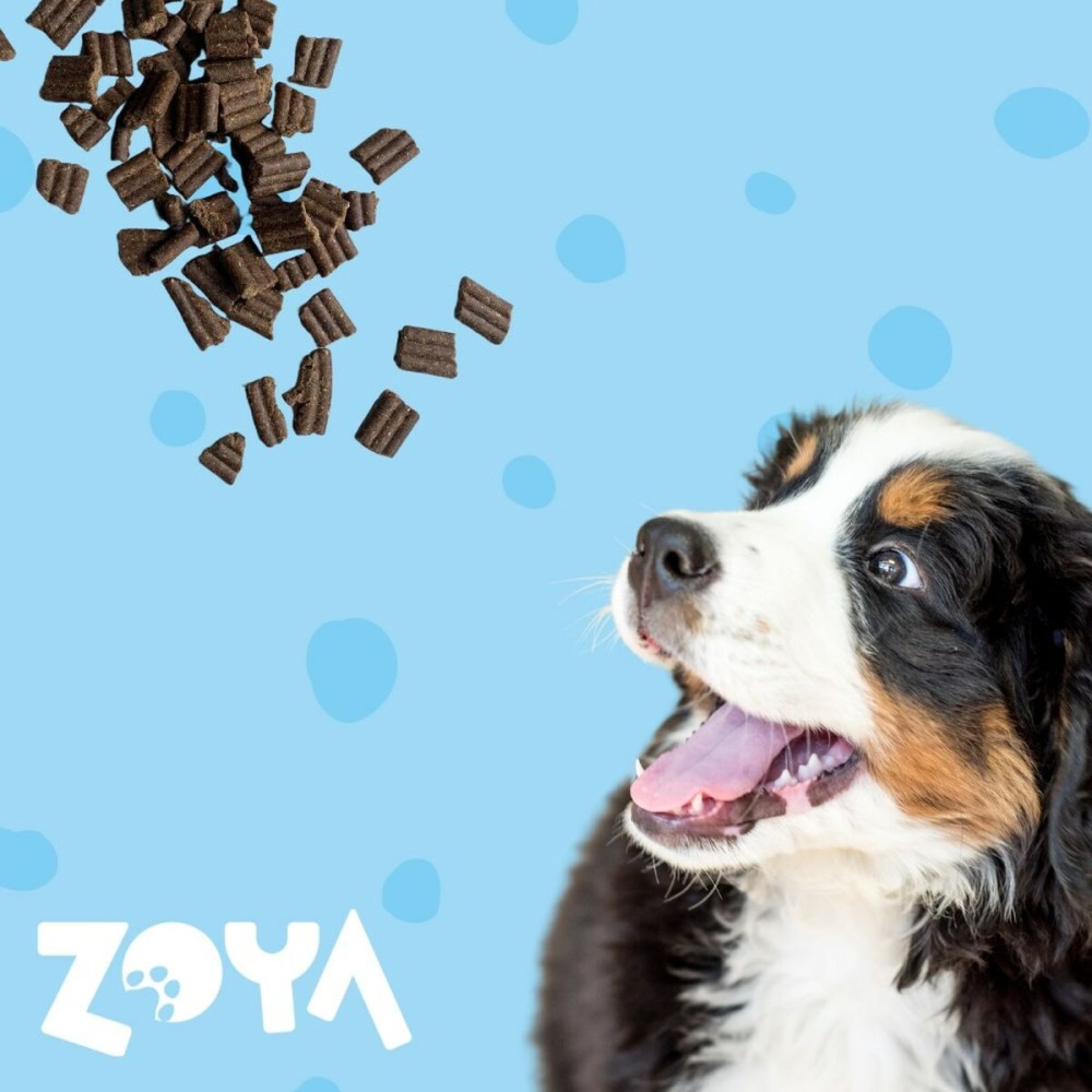 Fodder Zoya Duck 1 kg