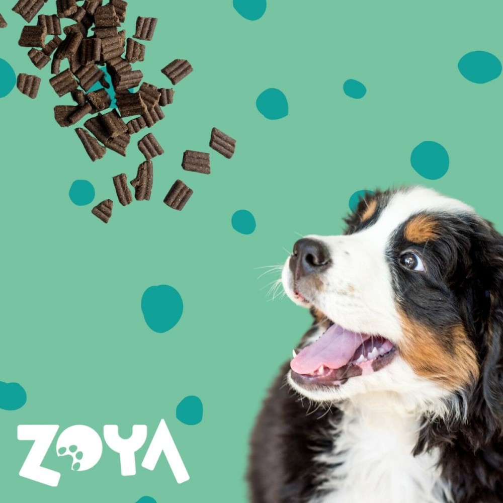 Fodder Zoya Deer 1 kg