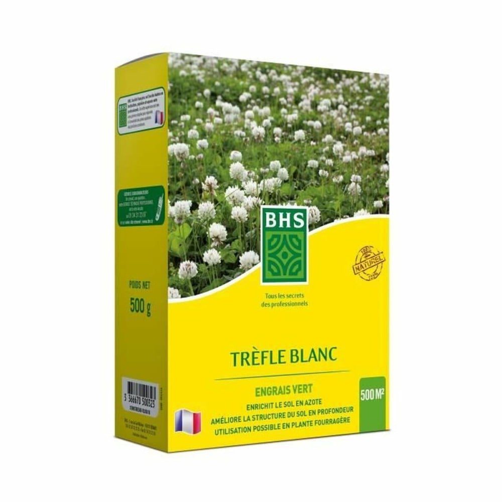 Samen BHS Trèfle Blanc 500 g