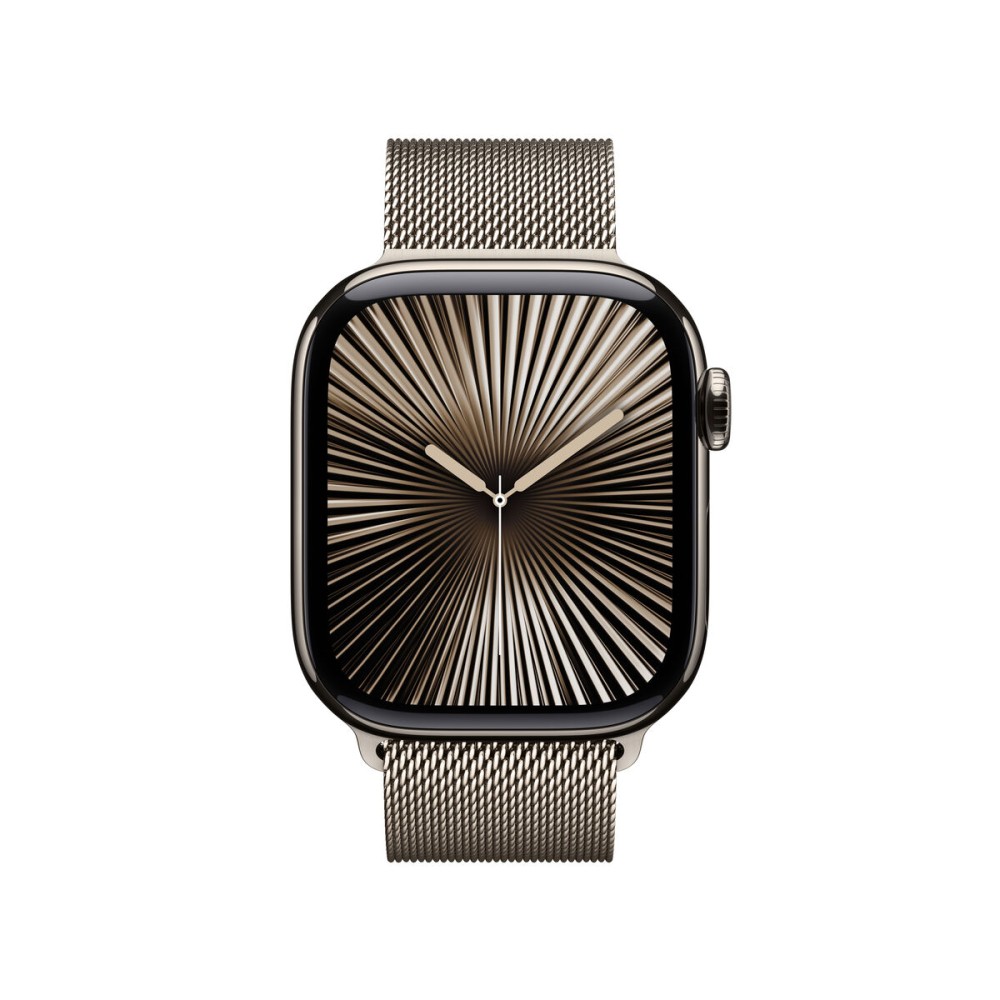Men's Watch Apple MWXF3QL/A Titanium Steel