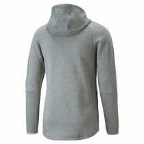 Sweat à capuche homme Puma Evostripe Gris