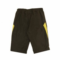 Herren-Sportshorts Lotto Mid Fluid Grau