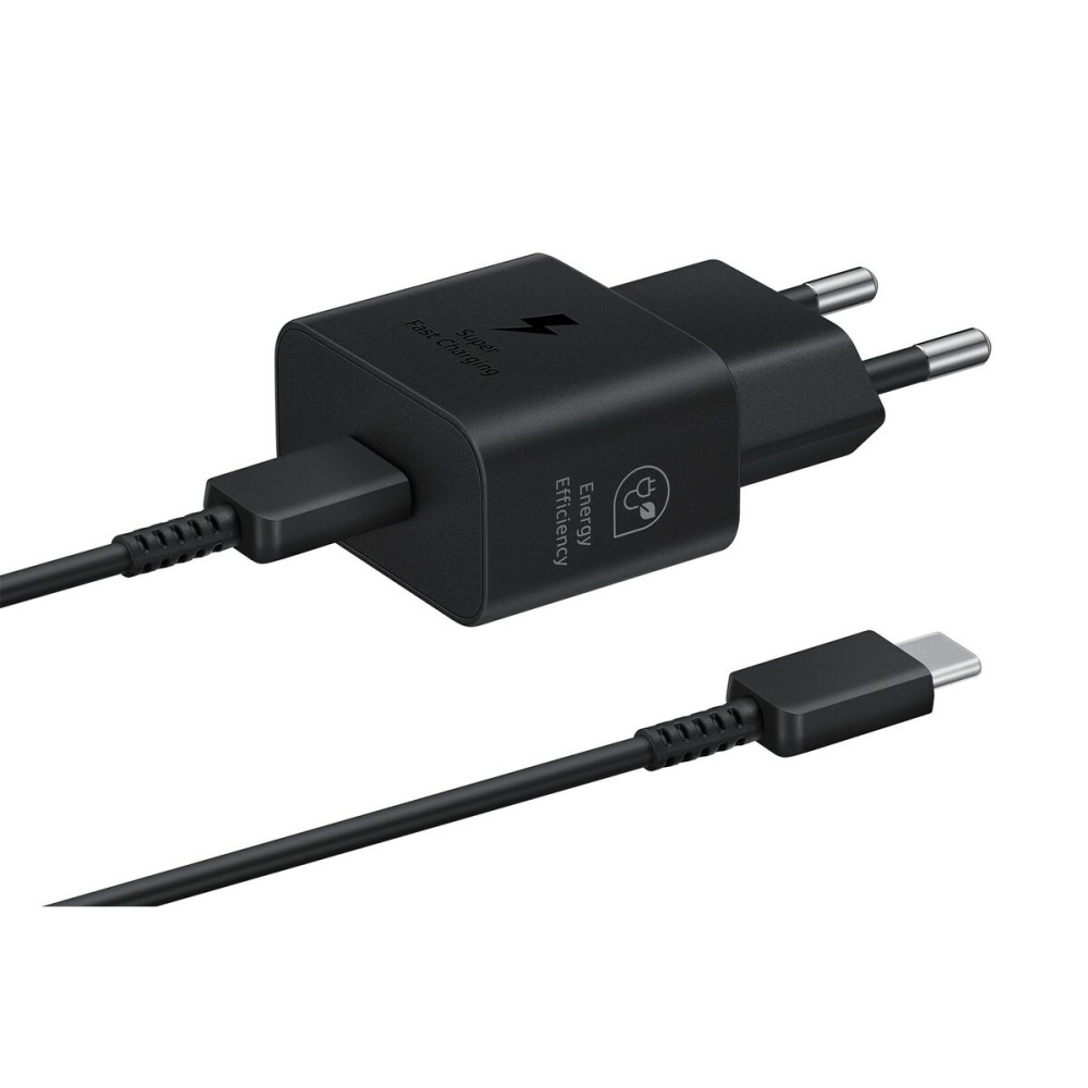 Wandladegerät Samsung EP-T2510XBEGEU 25 W