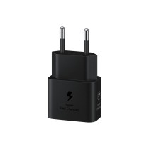 Wandladegerät Samsung EP-T2510XBEGEU 25 W