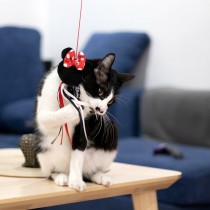 Katzenspielzeug Minnie Mouse Schwarz