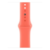 Bracelet à montre Apple MDRT4ZM/A M/L