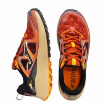 Walking Shoes for Men Joma Sport Trek Men 2520