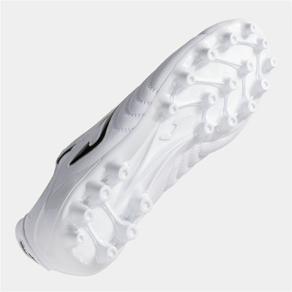 Chaussures de Football pour Adultes Joma Sport Aguila Cup 2402 Blanc
