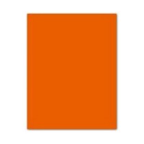 Pappe Iris Orangerot 50 x 65 cm