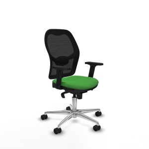 Chaise de jeu Piqueras y Crespo 2D086N0 Vert