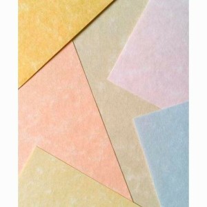 Papier parchemin Michel Blanc A4 100 Volets