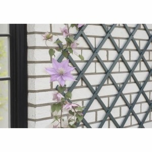 Palissade de Jardin Nature NATURE Anthracite Plastique