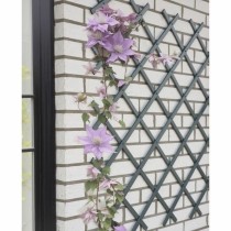 Palissade de Jardin Nature NATURE Anthracite Plastique