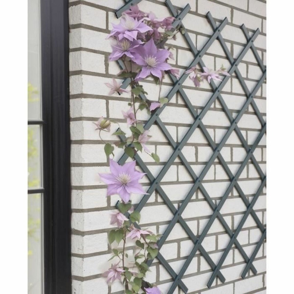 Palissade de Jardin Nature NATURE Anthracite Plastique