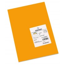 Cards Iris Fluor Orange