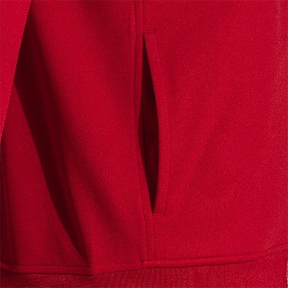 Children’s Tracksuit Joma Sport Lion II