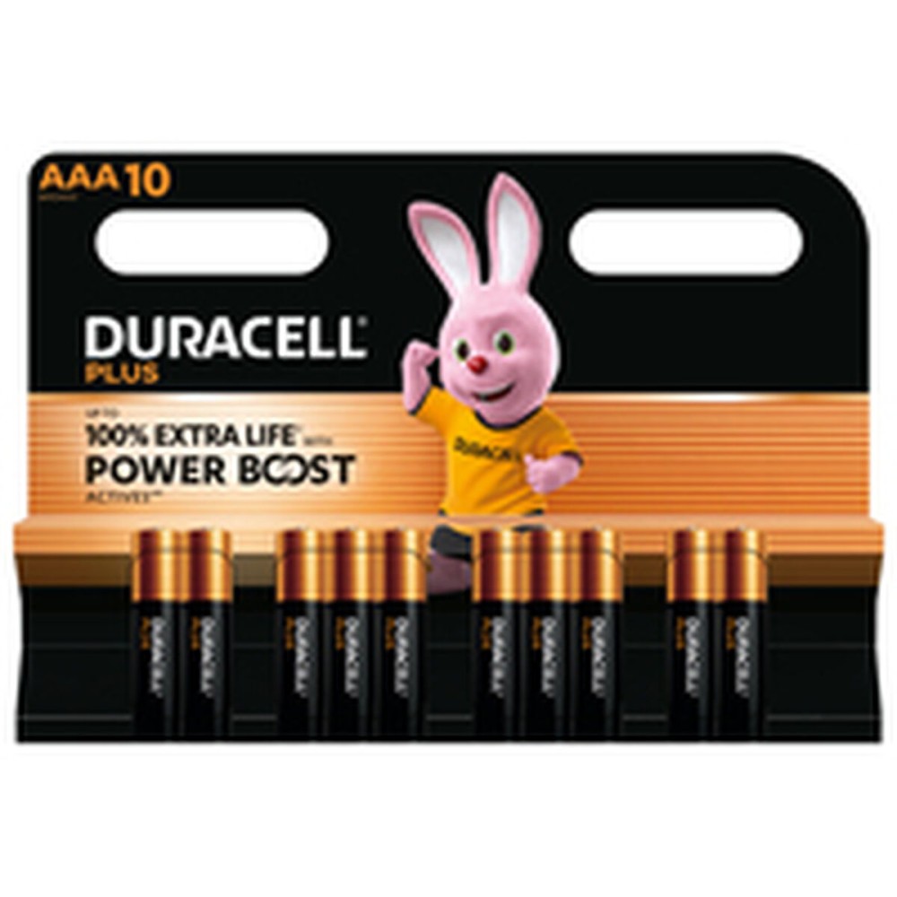 Piles Rechargeables DURACELL DPBLR3B10 AAA