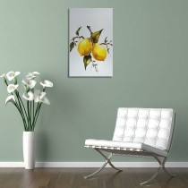 Écran Samsung LS49FG916EUXEN 49"