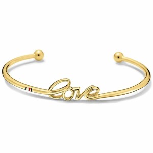 Ladies' Bracelet Tommy Hilfiger 2700941 21 cm