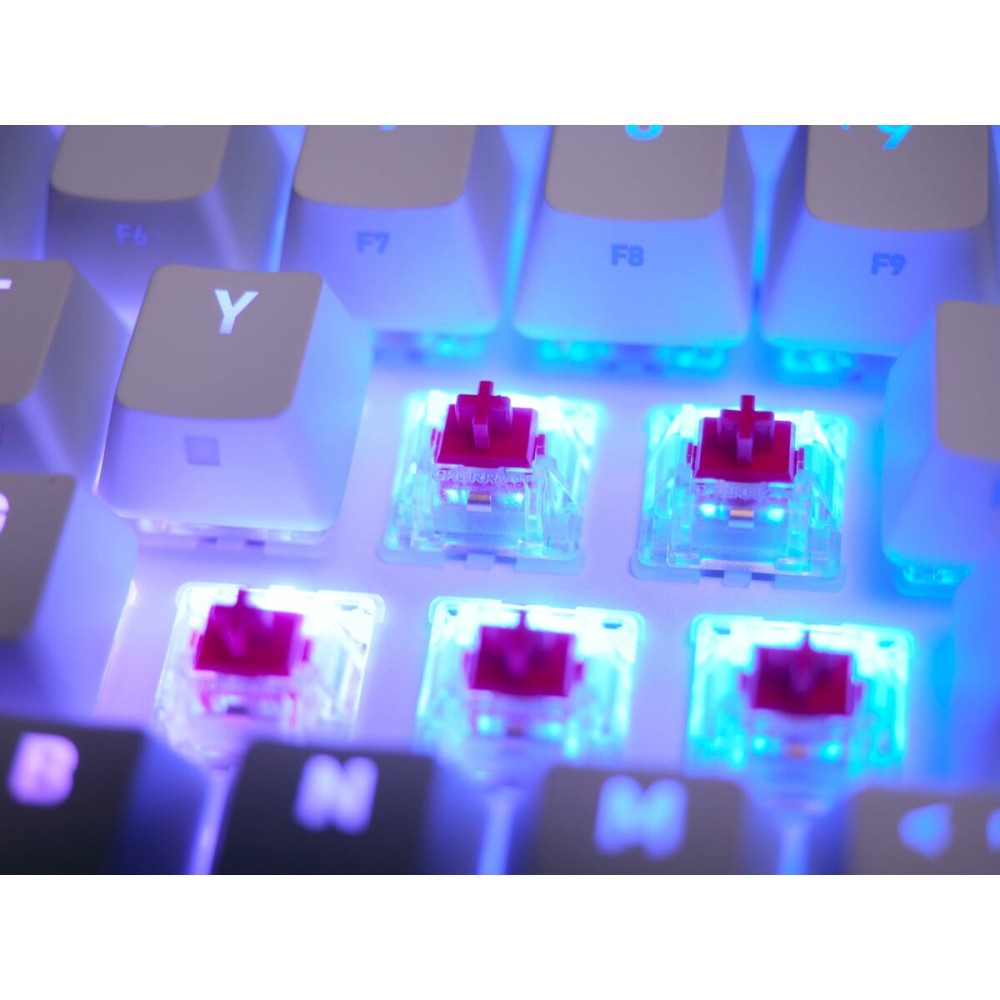 clavier et souris Cherry CXK5V2RGBCPTTPWHTRFR