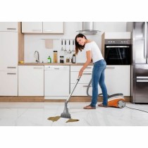 Aspirateur Thomas Aquatic Breeze